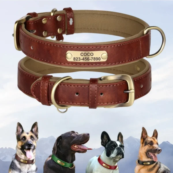 Coleira de couro personalizado, Coleiras acolchoadas macias, Durável Pet ID Tag, Ajustável para cães pequenos e médios grandes