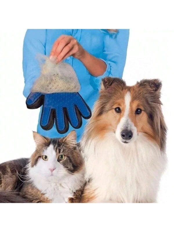 Luva Nano Magnética Tira Pelos Pets Cães Gatos Promoção