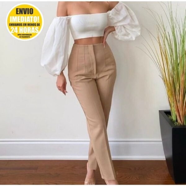 Calça Alfaiataria Feminina Cintura Alta Com Zíper Lançamento Blogueira ZR Social Slim Fino Empresaria Tendência Elegante