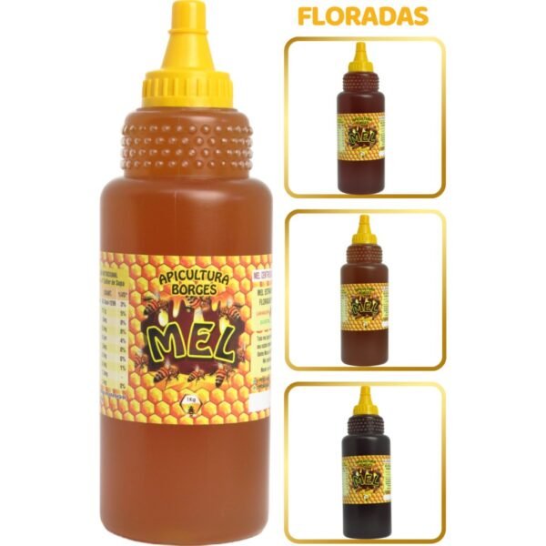 Mel Puro de Abelhas - Bisnaga 1kg (750ml) - Florada Laranjeira