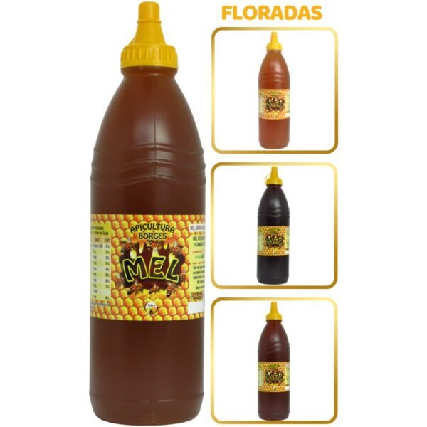 Mel puro de abelhas - bisnaga 1 litro (1,4 kg) florada silvestre