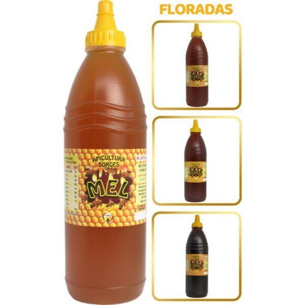 Mel puro de abelhas - bisnaga 1 litro (1,4 kg) florada laranjeira