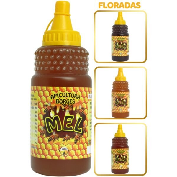 Mel Puro de Abelhas - Bisnaga 500g (350ml) - Florada Silvestre