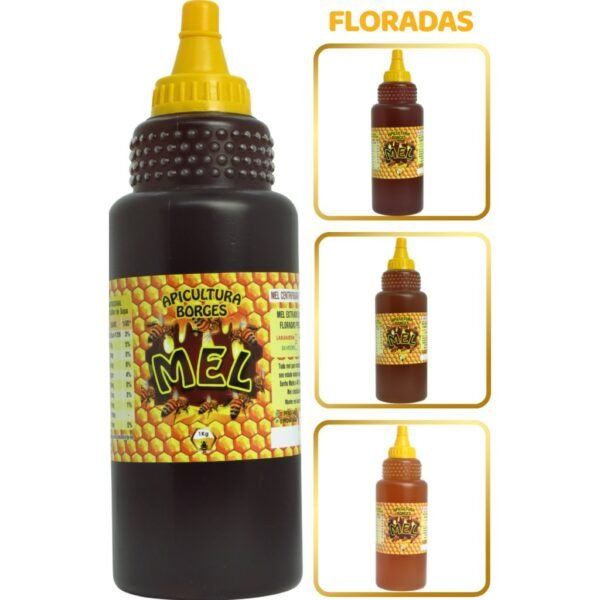 Mel de abelha 100% puro - bisnaga 1kg (750ml) florada assa-peixe natural direto do produtor