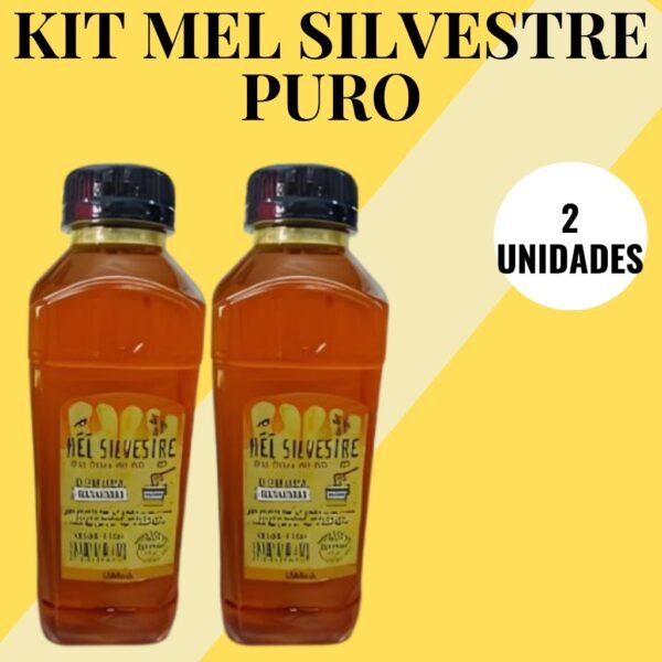 Mel de Abelha Silvestre Rio Novo Do Sul Natural 100% Puro 500 ML 2 unidades
