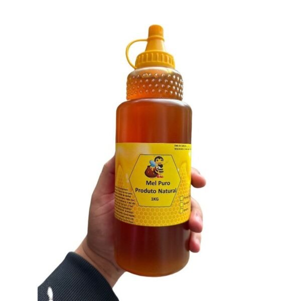 Mel Puro De Abelha 1kg Pronta Entrega- florada silvestre