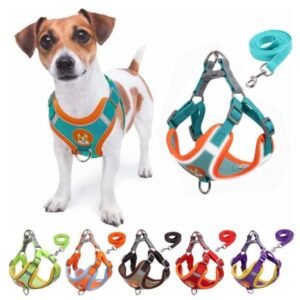 Coleira peitoral cachorro e gato, conjunto de guia + tipo colete para pet pequenos médios