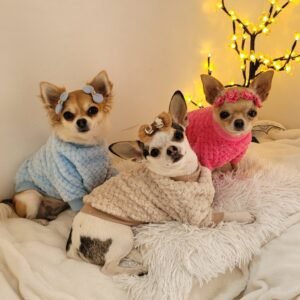 Roupa pet inverno casaco de fleece para cachorro e gato texturizado