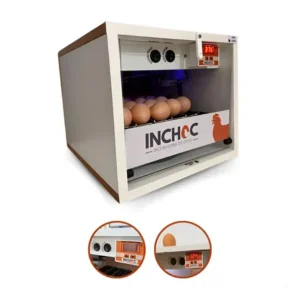 Incubadora de ovos galinhas aves + ovoscopio automatica